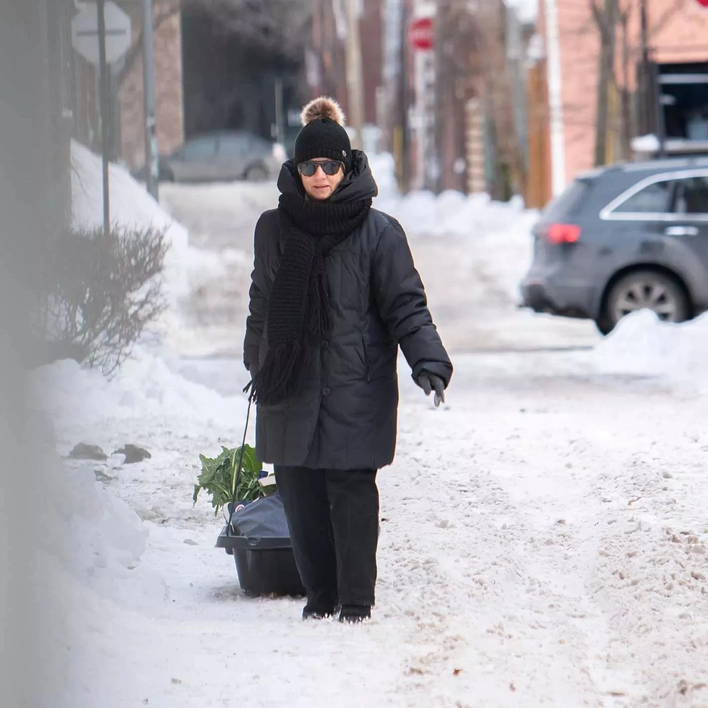 Pelican Trek 45 Utility Sled 4 Pelican Trek 45 Utility Sled - Image 2